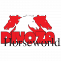 Divoza logo