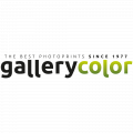 Gallery Color logo