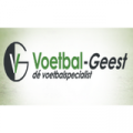 Voetbal-geest logo