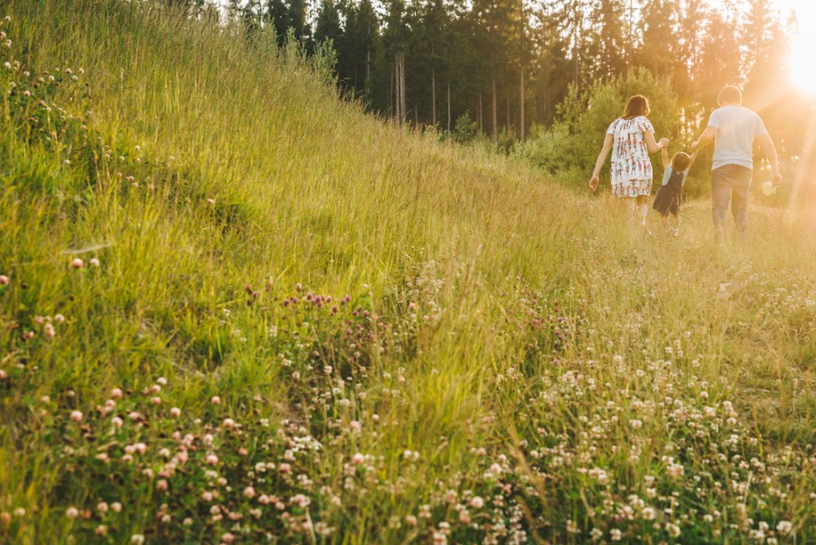 Beste Vakantie Bestemming Om De Natuur Te Ontdekken Webwinkelwijzer nl